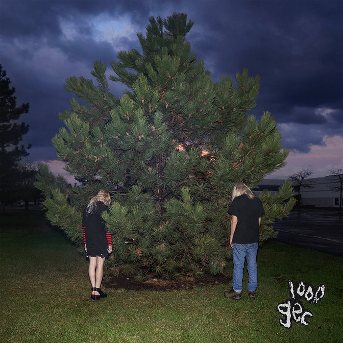 100 Gecs – 1000 Gecs - VINYL LP