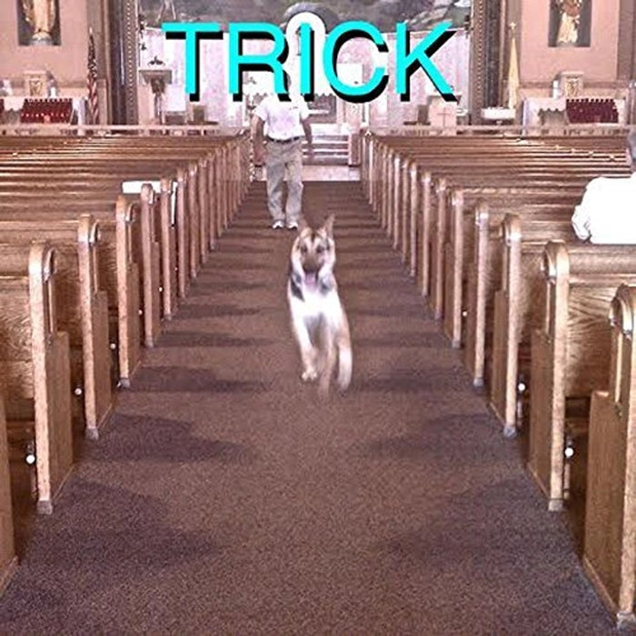 Alex G – Trick (1xLP, 1x7") - VINYL LP