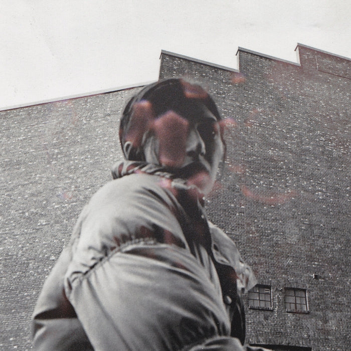 Aldous Harding – Warm Chris - VINYL LP