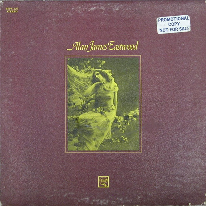 Alan James Eastwood – Alan James Eastwood (VG/VG+) - VINYL LP