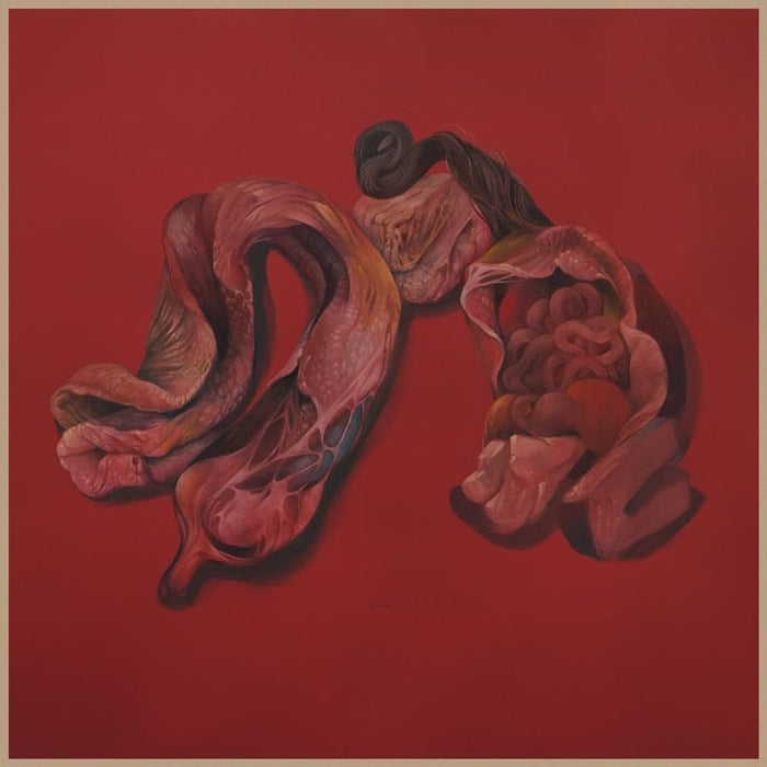 Narcosatanicos – Body Cults - VINYL LP