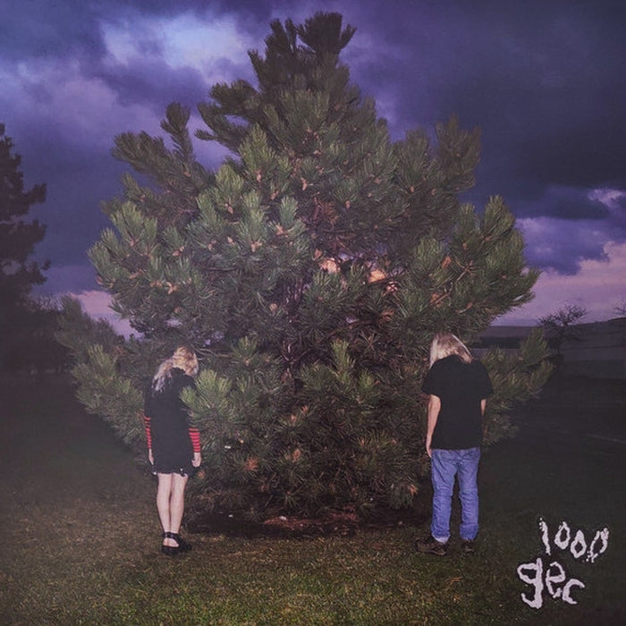 100 Gecs – 1000 Gecs (NM/NM) - VINYL LP
