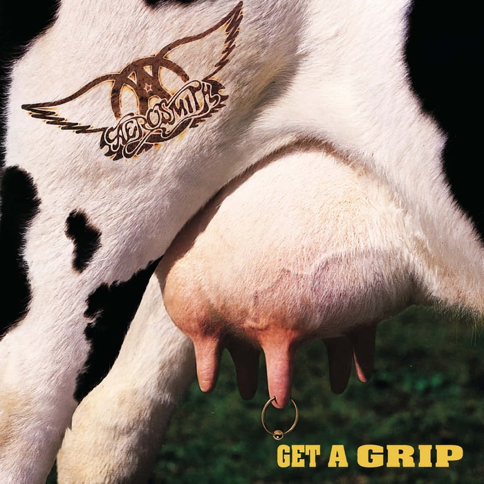 Aerosmith – Get A Grip (2xLP) - VINYL LP