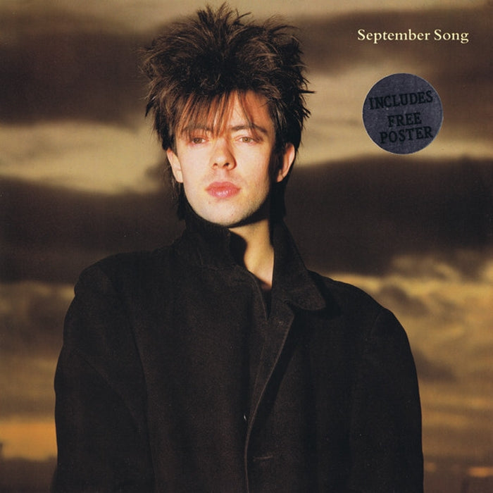 Ian McCulloch – September Song (E/VG+) - VINYL LP