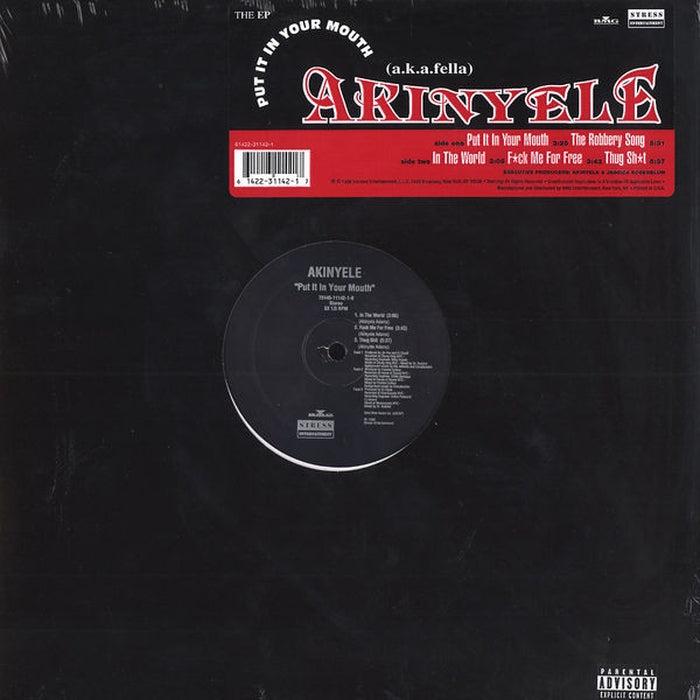 Akinyele – Put It In Your Mouth (VG+/Generic) - VINYL LP