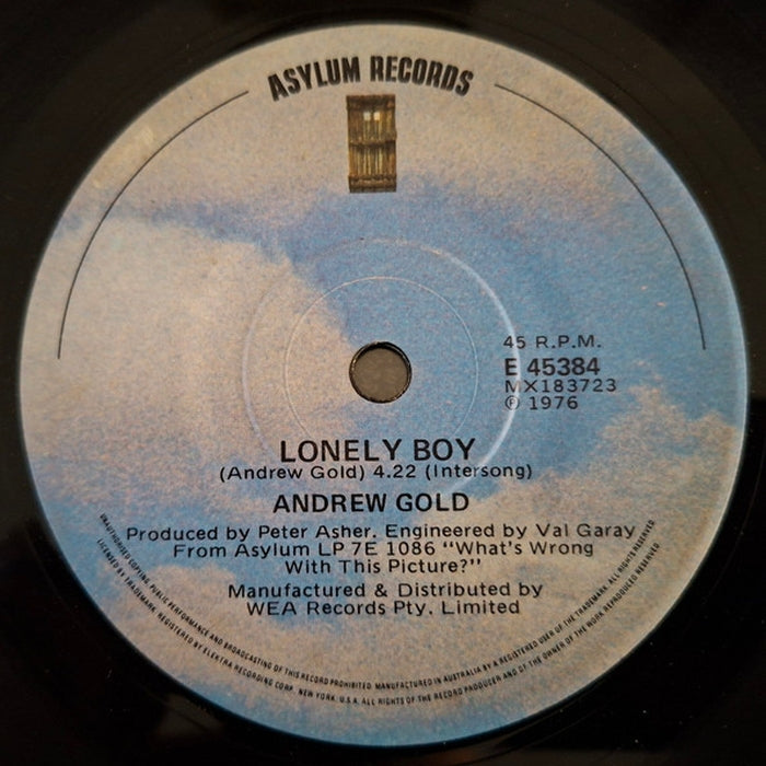 Andrew Gold – Lonely Boy (VG+/Generic) - VINYL LP