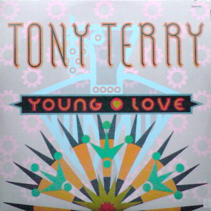 Tony Terry – Young Love (VG+/VG+) - VINYL LP