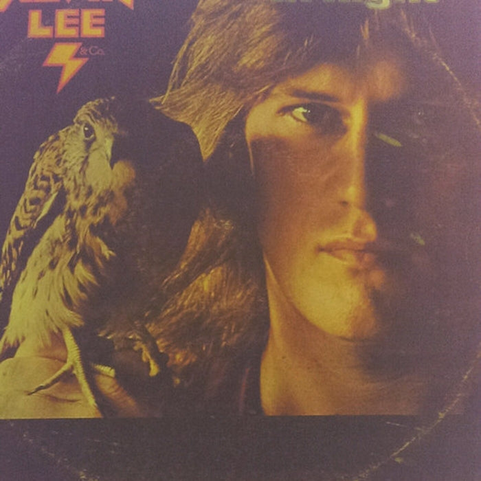 Alvin Lee & Co. – In Flight (2xLP) (VG/VG) - VINYL LP